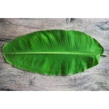  Paper Banana Leaf